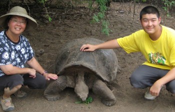 Turtle Conservation Volunteering Abroad Program