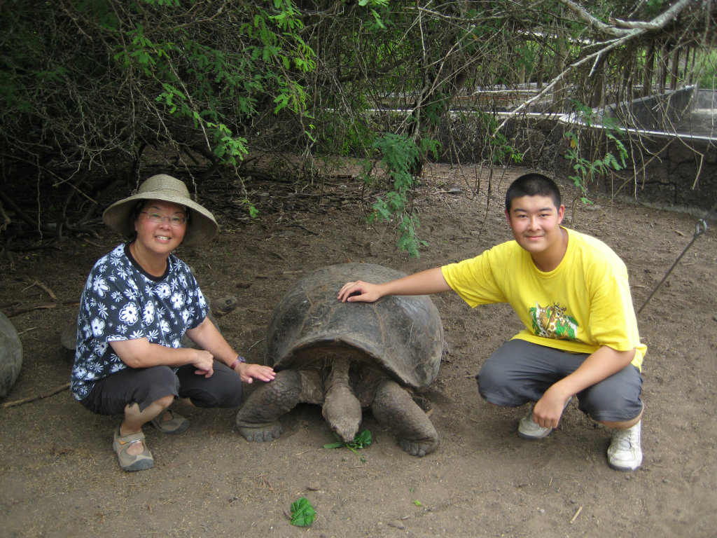 Turtle Conservation Program
