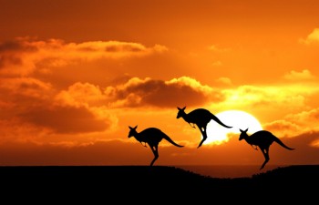 Things to do in Australia while volunteering