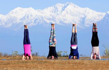 Yoga and Volunteer Adventure in India