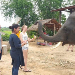 Three Weeks Of Transformative Travel Experience In Thailand