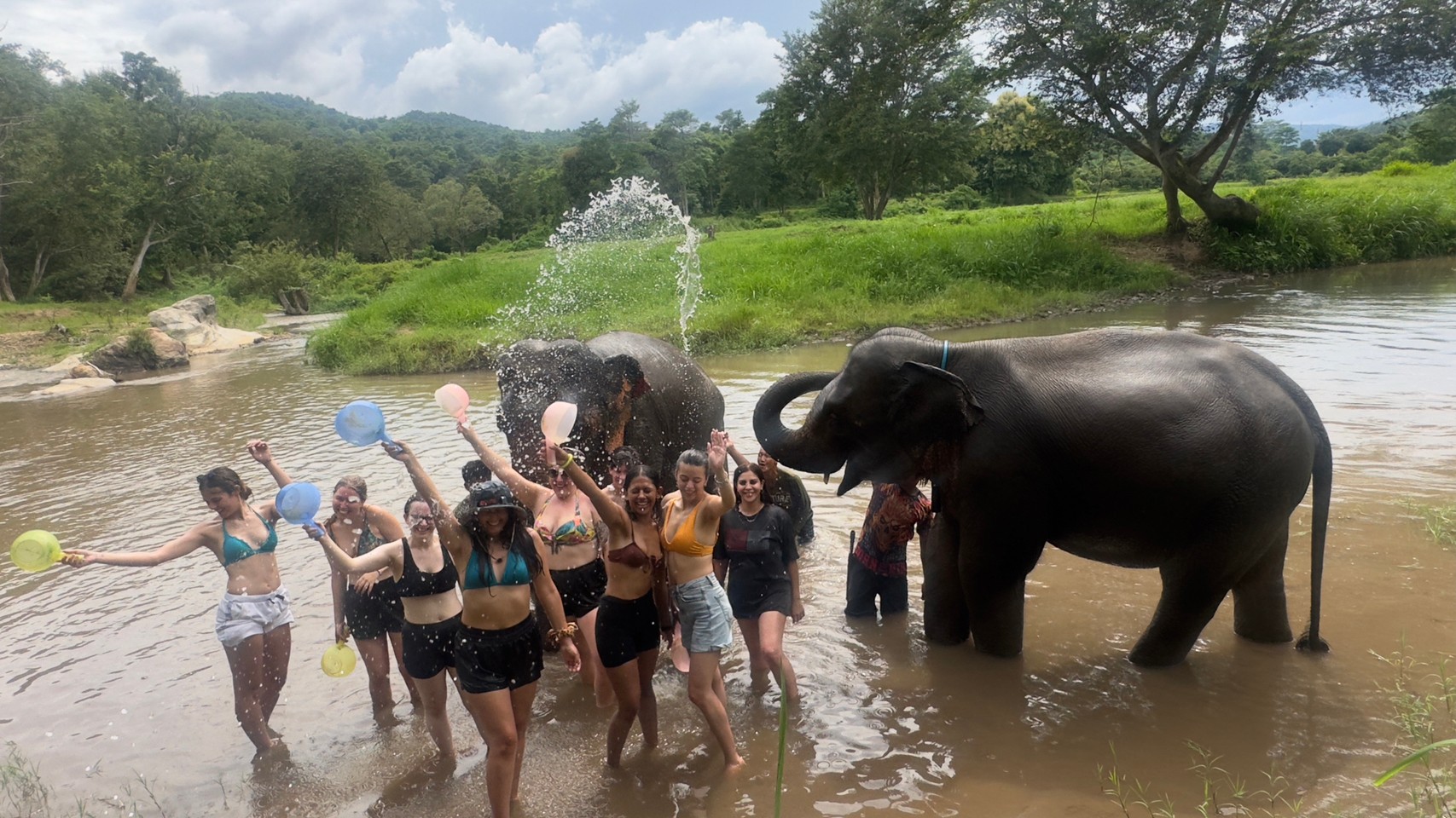 Thailand elephant project